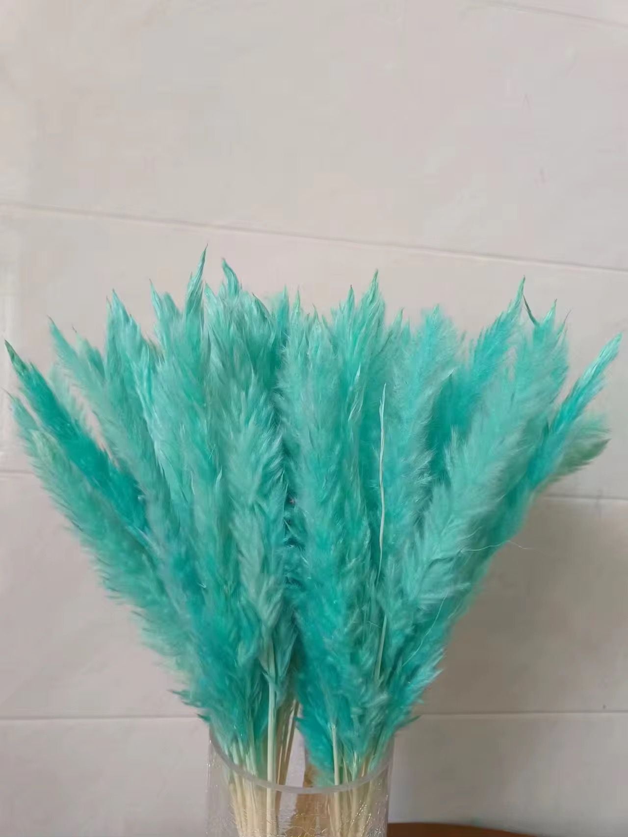 Natural Pampas Grass 55cm - Dried