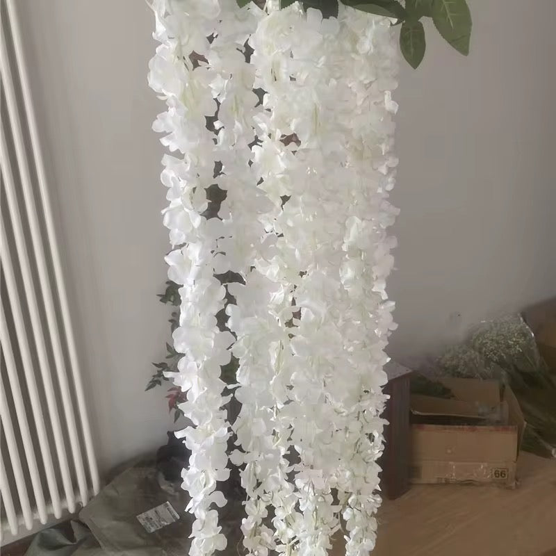 1M Colored wisteria vines
