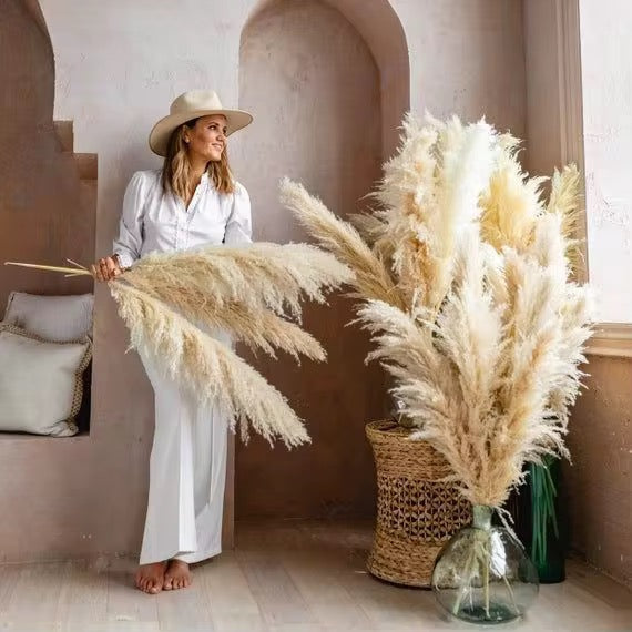 Big Pampas Grass 90 cm
