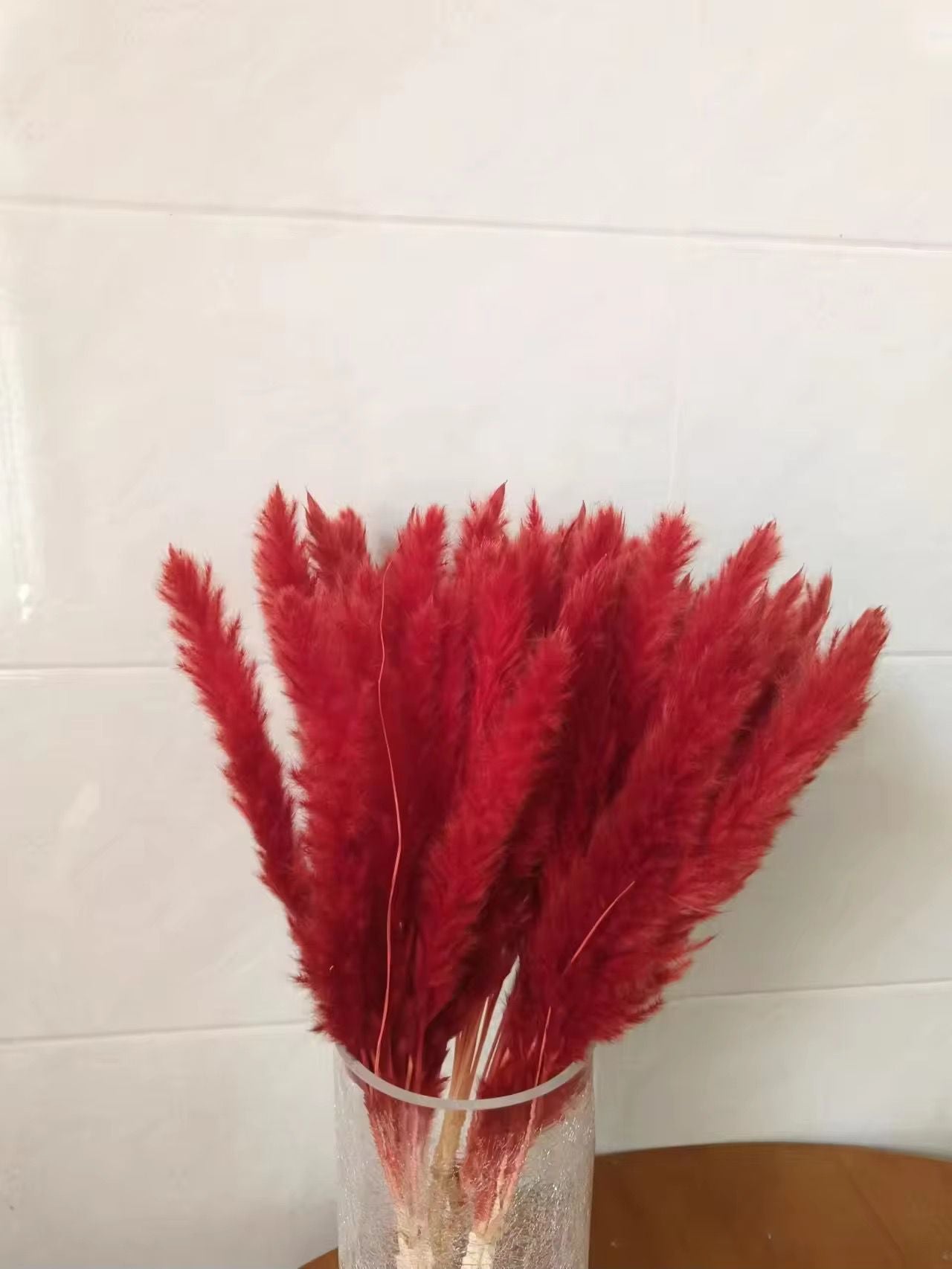 Natural Pampas Grass 55cm - Dried
