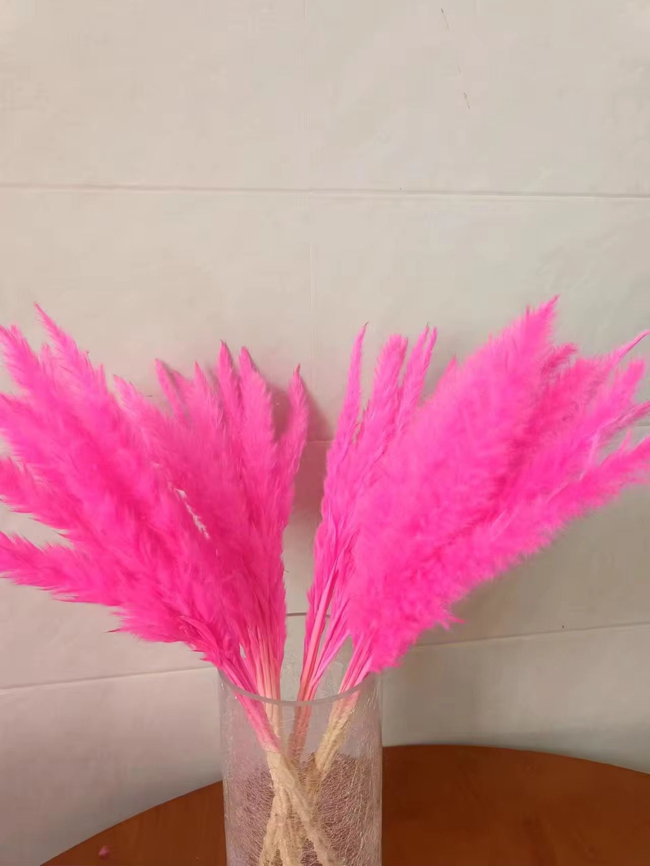 Natural Pampas Grass 55cm - Dried