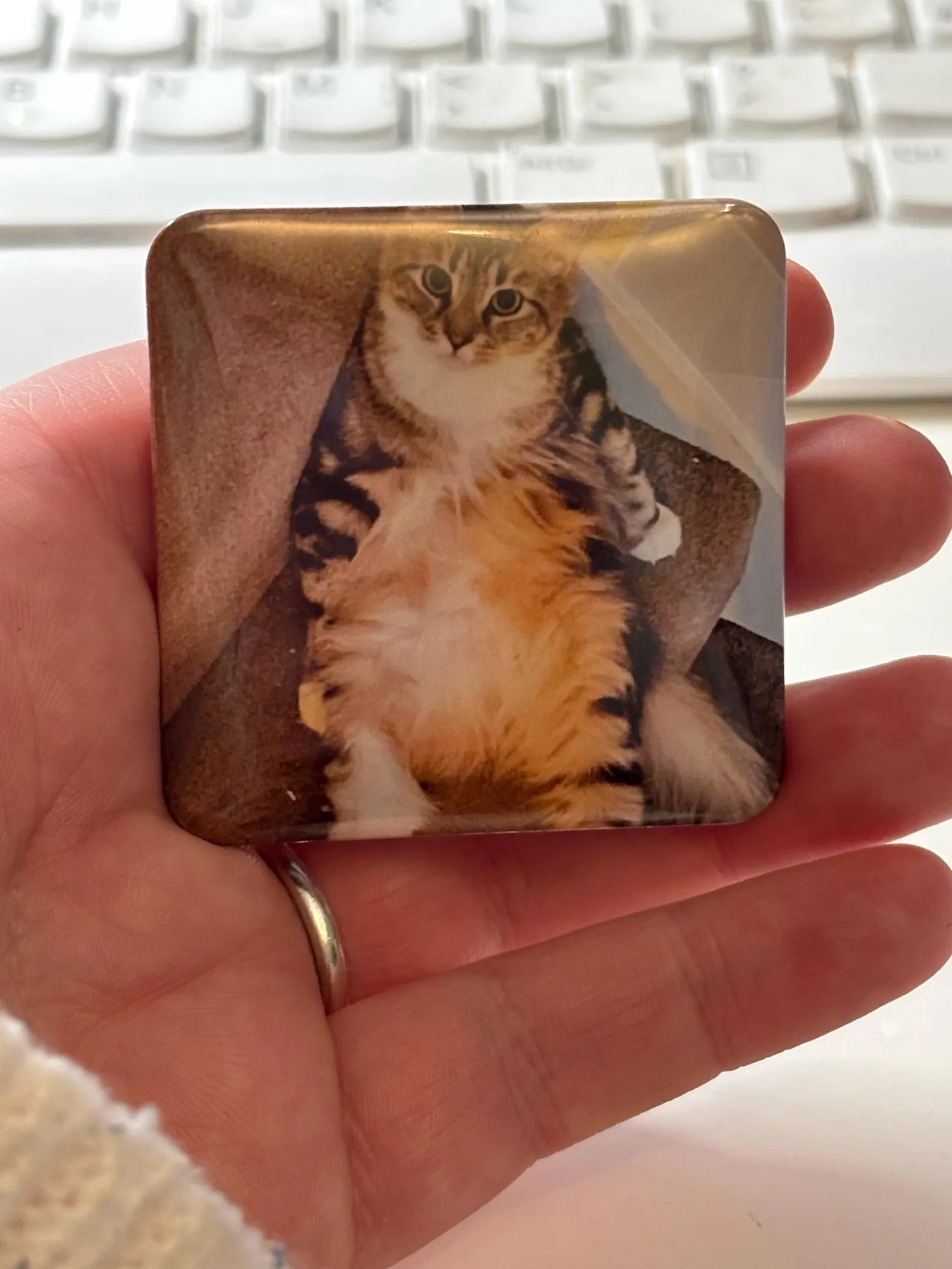 Rounded Square Acrylic Photo Magnets